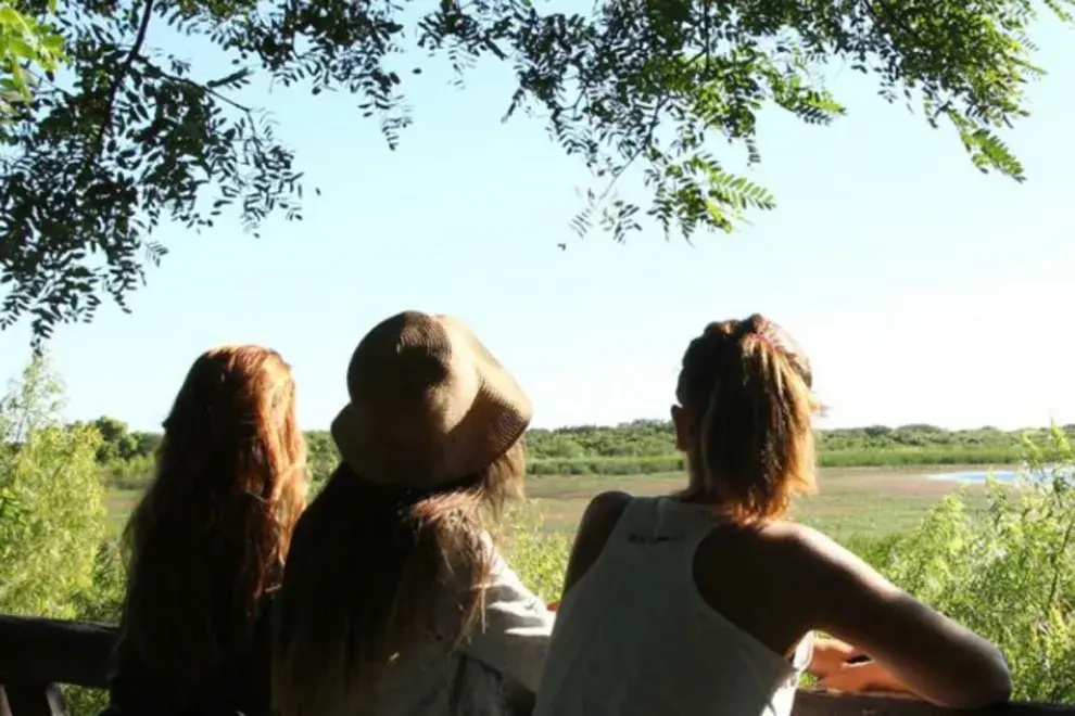 La Reserva Ecológica (Av. Dr. Tristán Achával Rodríguez 1550) es el mayor espacio verde de la Ciudad de Buenos Aires