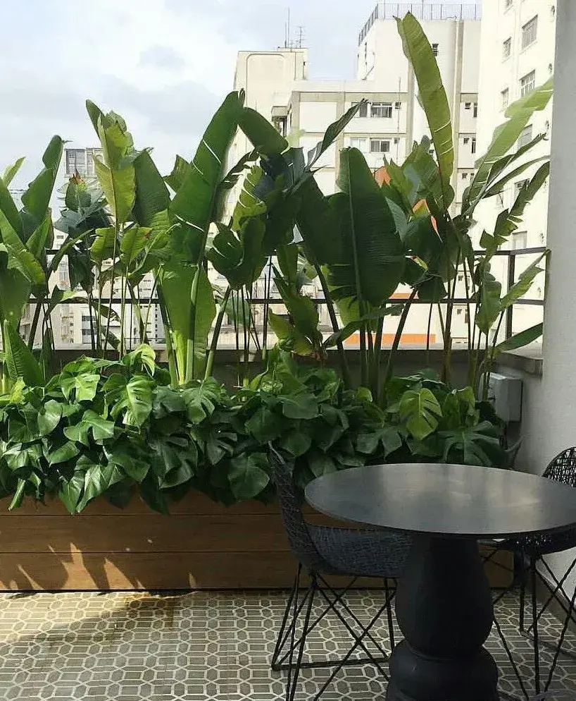 Foto de balcón con plantas altas.