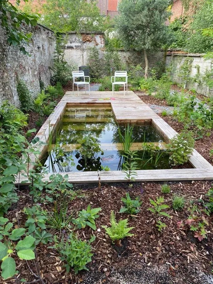 Ecología en tu jardín: cuando la pileta deja de ser un elemento aislado.