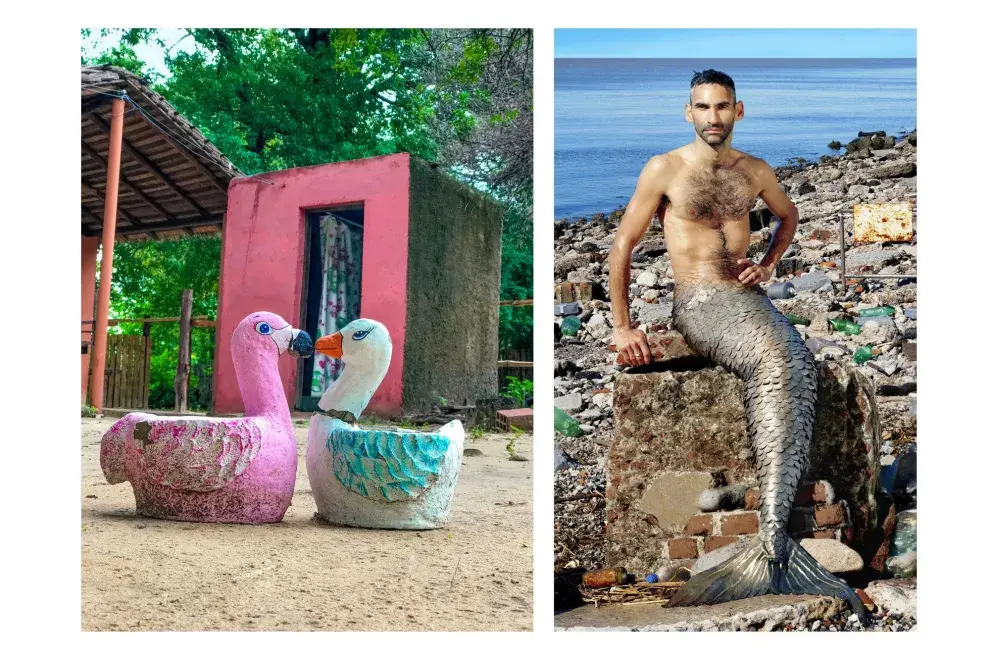 Los cisnes de Corrientes y el sireno del Río de la Plata.