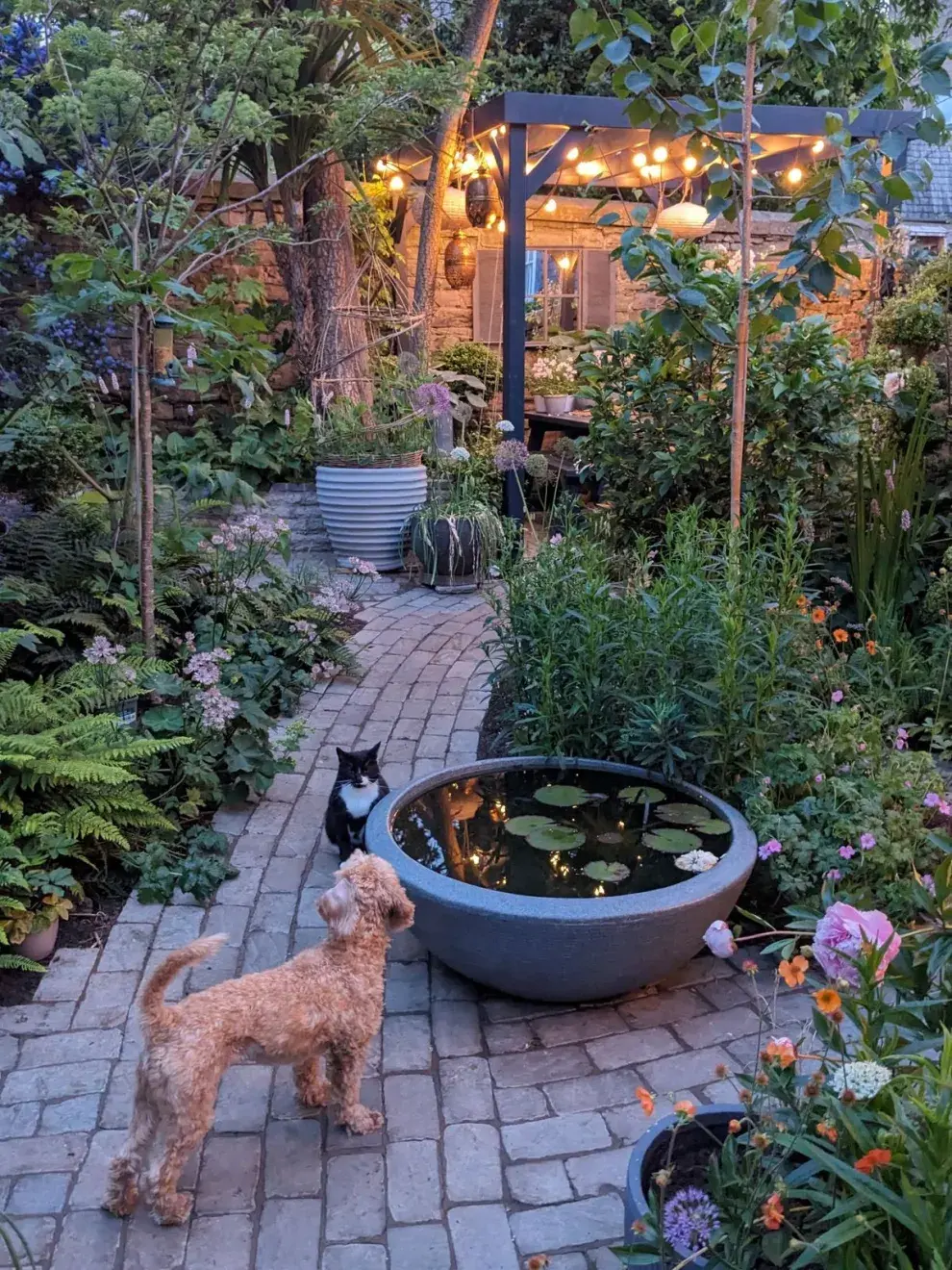 Miniestanques en macetas: cómo lograr un oasis en jardines pequeños