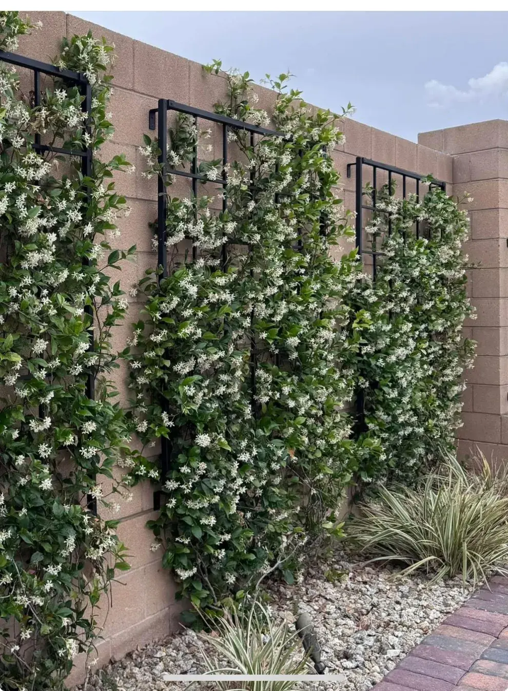 Patios con flores: 5 ideas para llenar tu casa de color