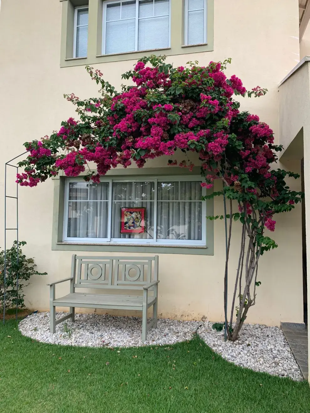 Patios con flores: 5 ideas para llenar tu casa de color