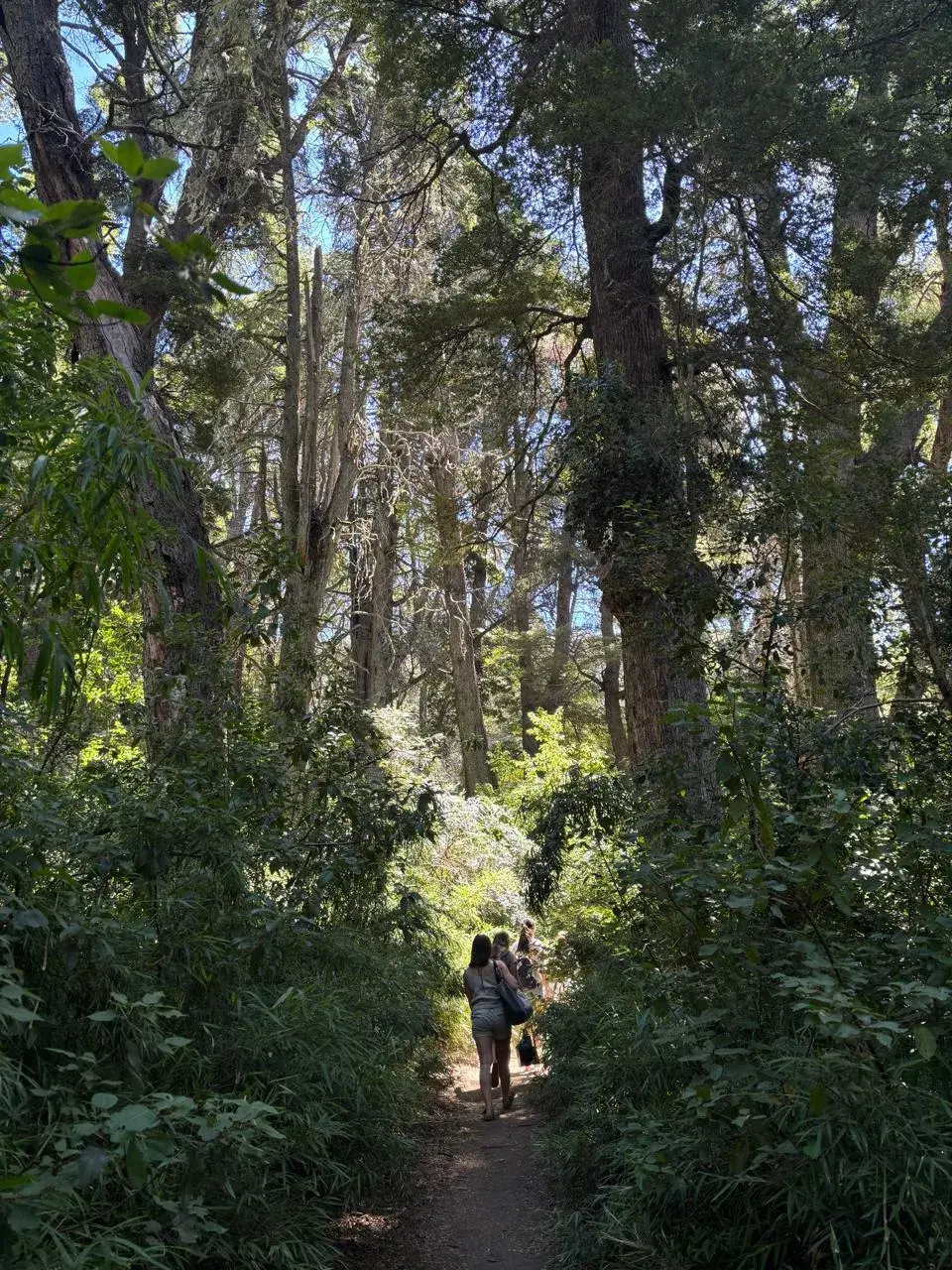 Sendero al Cerro Llao Llao