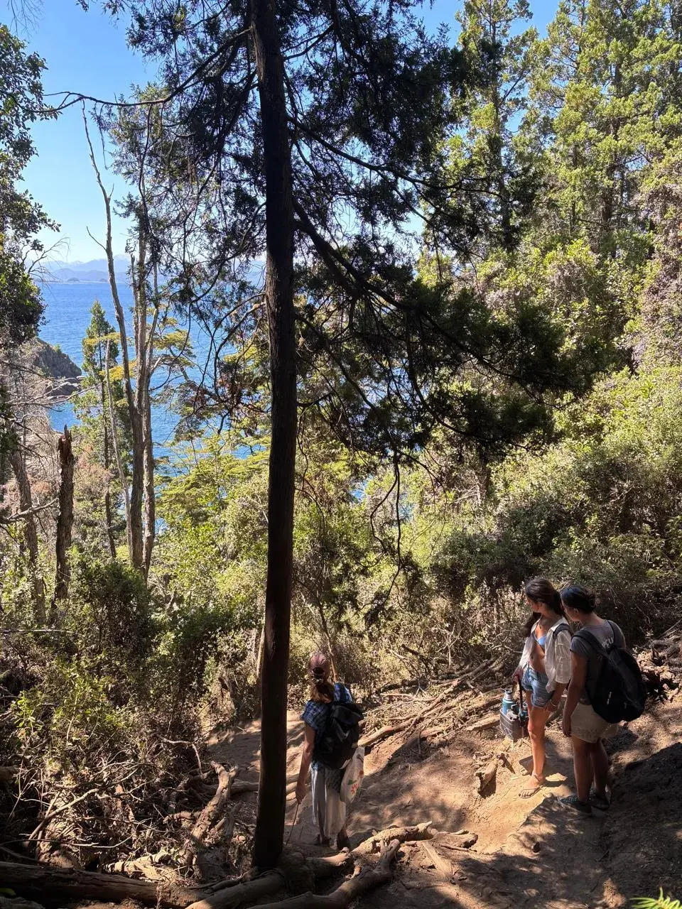 Sendero Puente Romano y Mirador de Bahía Tacul
