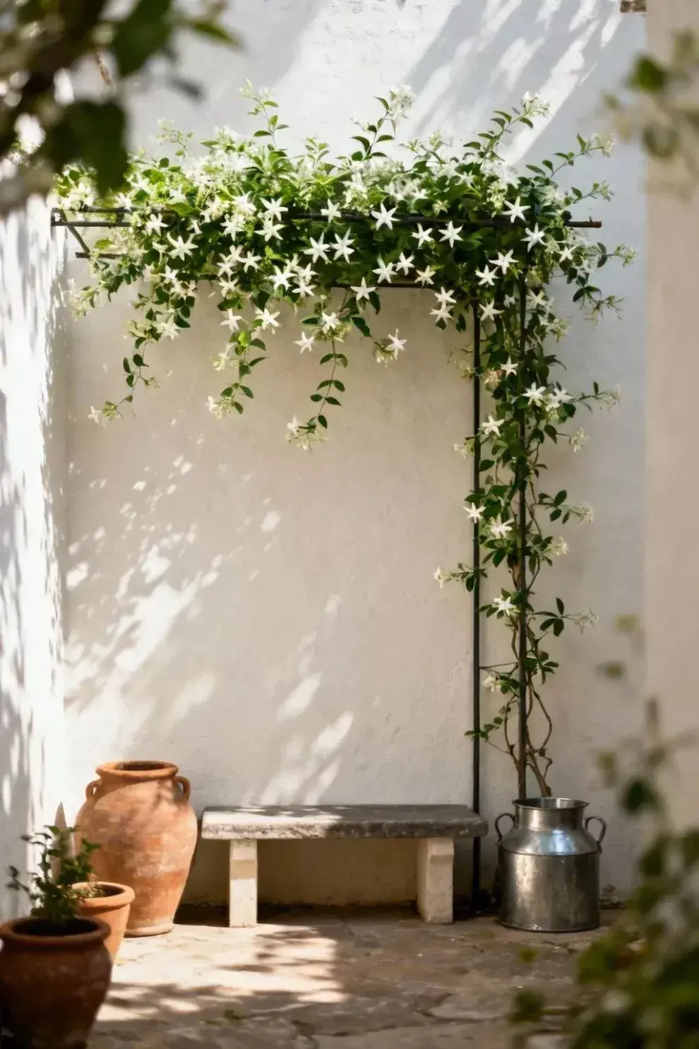 El otoño es una excelente oportunidad para renovar el verde del patio con especies que resisten mejor las temperaturas más bajas.