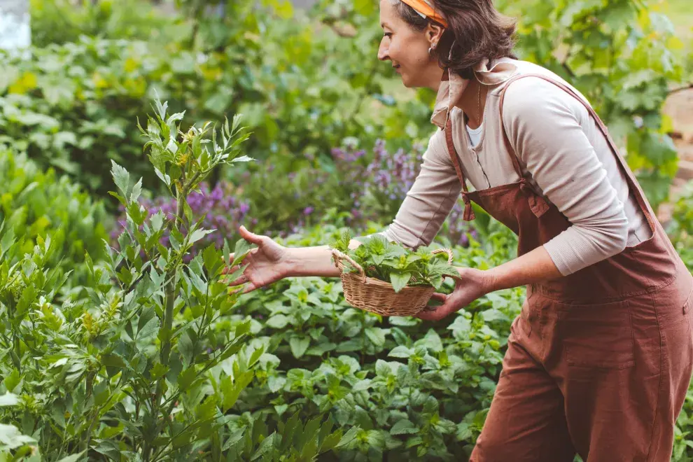 La premisa es sencilla pero poderosa: más que perseguir la perfección visual, el lemonading alienta a diseñar espacios verdes que prosperen en su contexto específico.