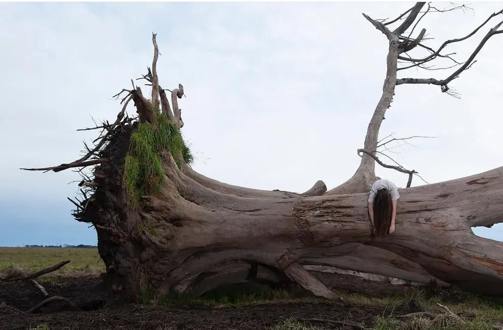 La obra de Mariana Heredia Rojas integra Cuerpo y Naturaleza.