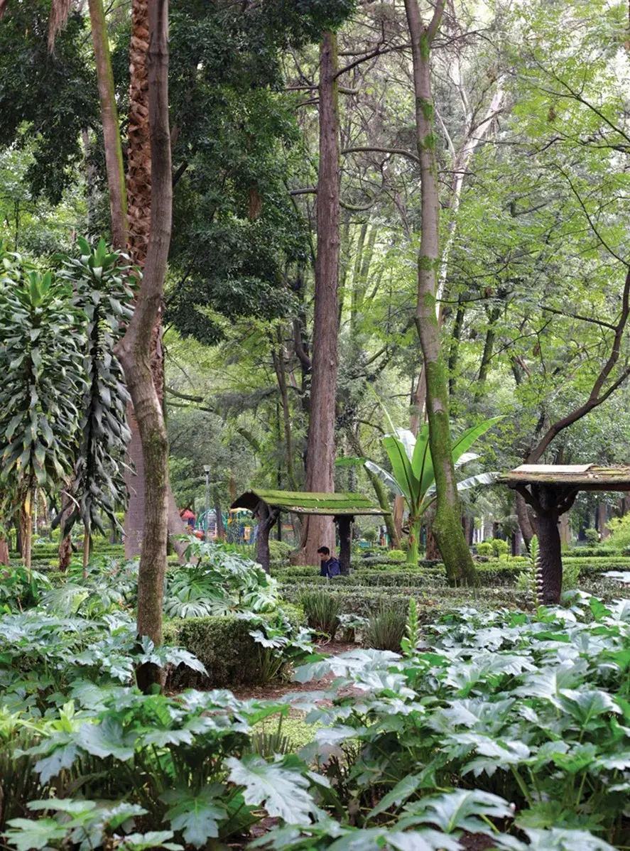 Bosque y Castillo de Chapultepec: el pulmón verde de la ciudad