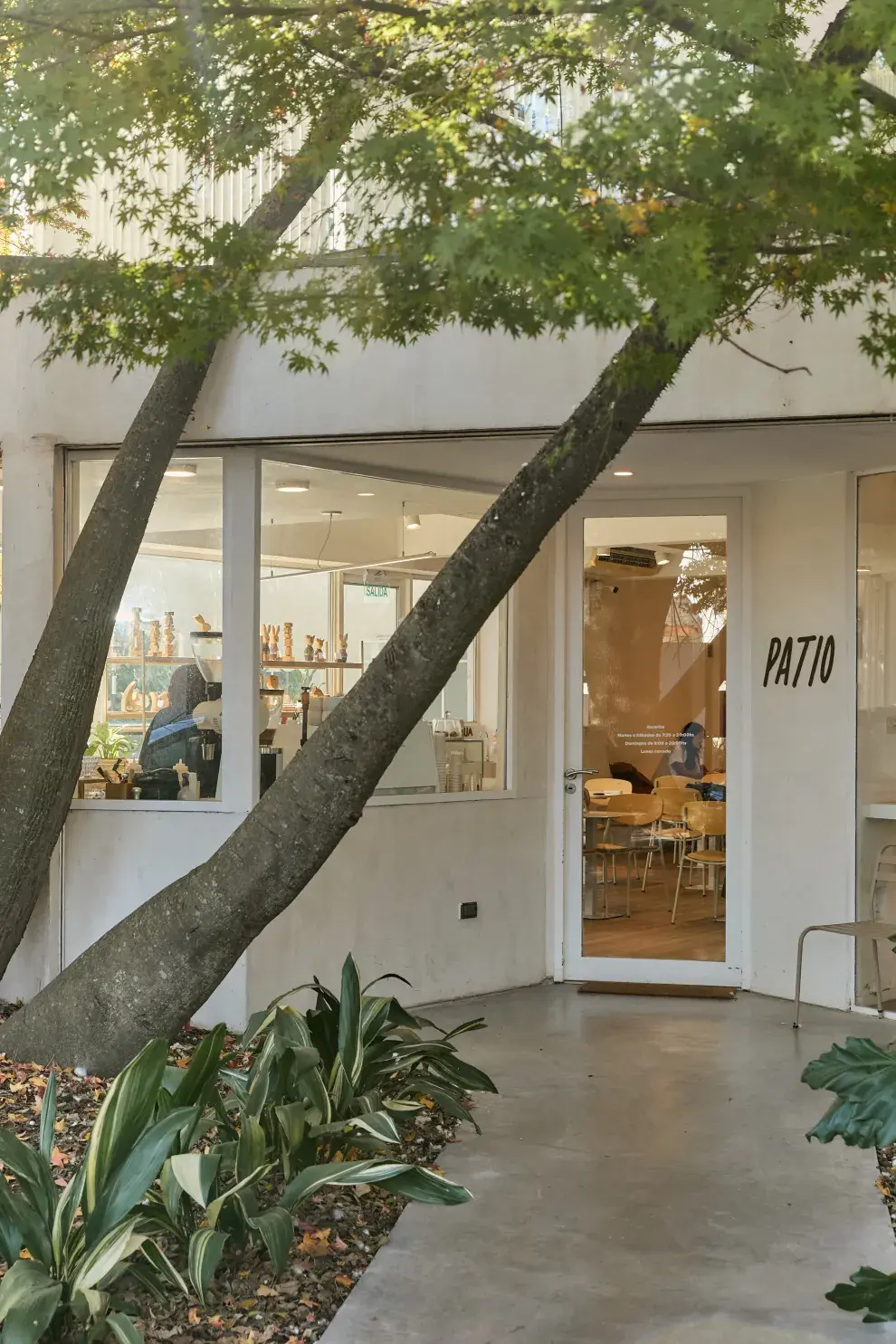 Patio, de la mano de cuatro amigos