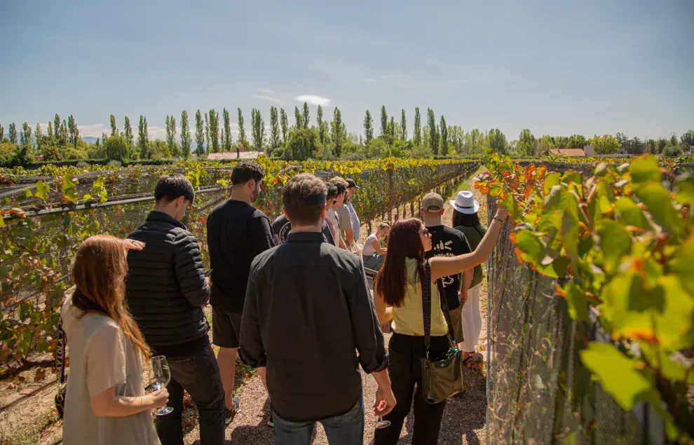 Dentro del predio funciona el restaurante Kaiken Ramos Generales, liderado por el chef Francis Mallmann