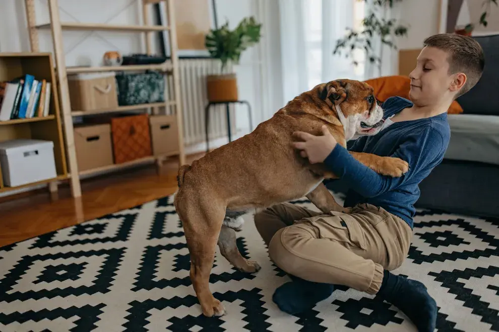 Prefiere descansar antes que realizar ejercicio intenso.