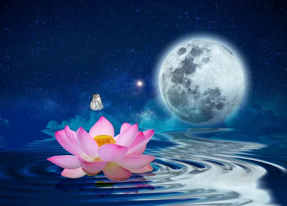 Foto de una luna llena y una flor.