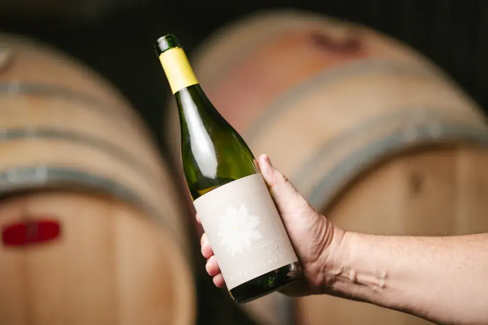 Malbecino Acariciado Blanc de Malbec – Familia Salas ($14.650, Mendoza)