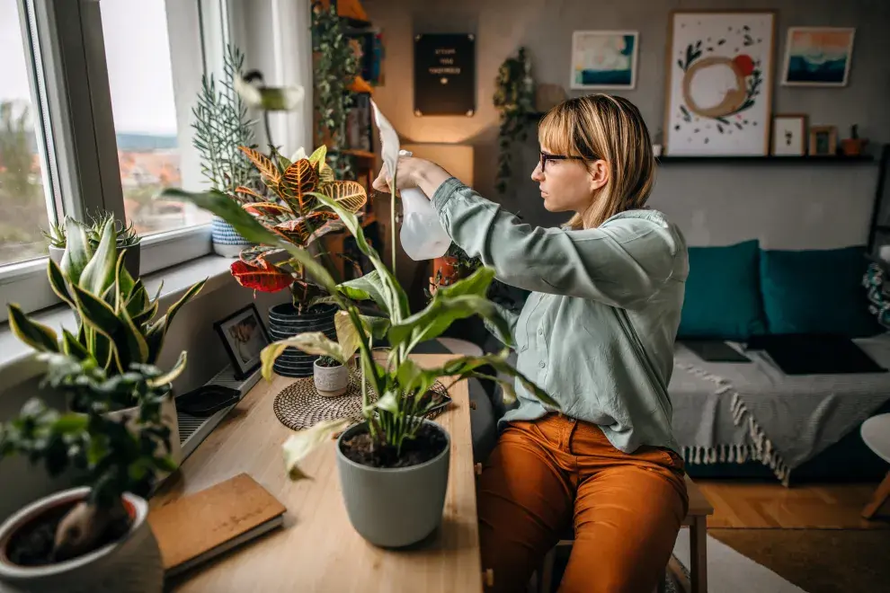 Foto de mujer regando plantas