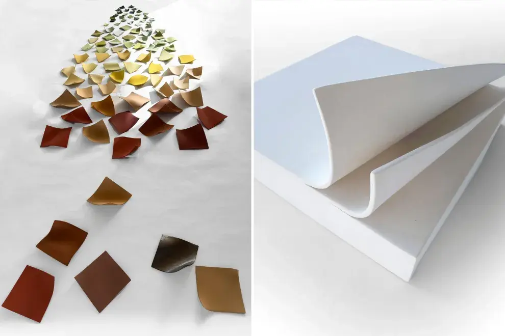 A la izquierda Devenir Estacional y a la derecha Blanco Devenir.