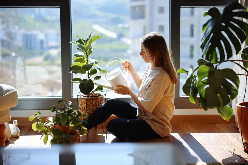 La tendencia acompaña una nueva forma de habitar la casa: espacios más sensoriales, conectados con la naturaleza y pensados para generar bienestar cotidiano.