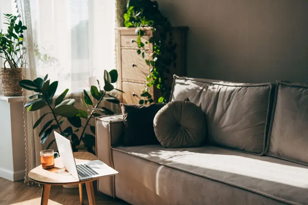 Las plantas de interior dejaron de ser solo un detalle decorativo para convertirse en grandes aliadas del bienestar dentro del hogar.
