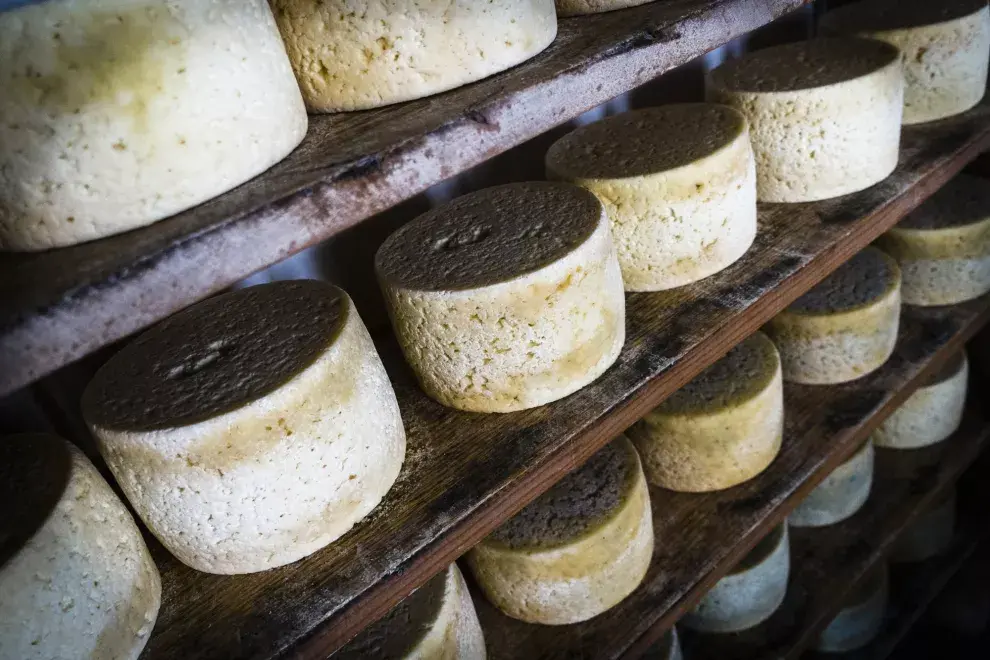 La región de Asturias aporta su notable queso Cabrales