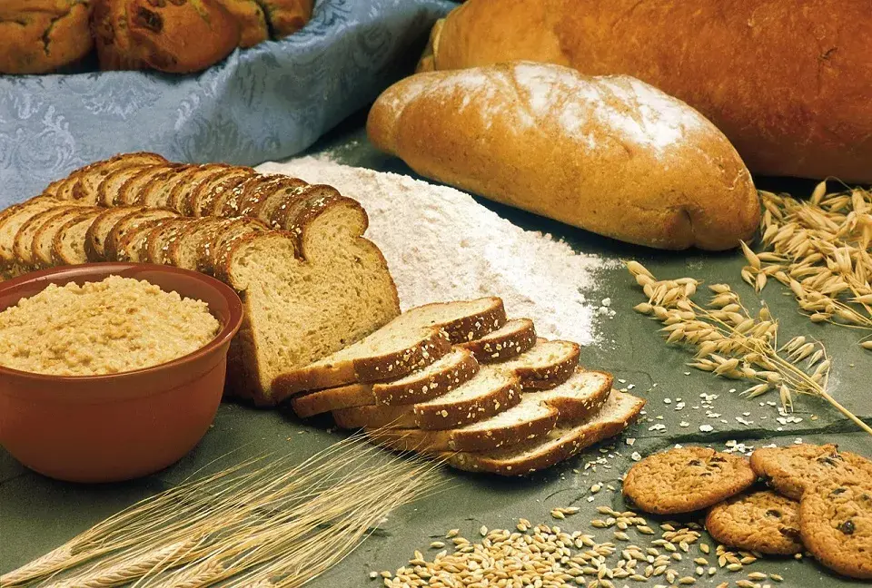 El gluten es una proteína presente en ciertos alimentos como el trigo (y sus diferentes variedades), la avena, la cebada y el centeno (T.A.C.C.). 