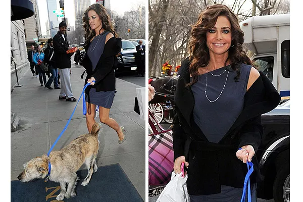 Demasiado formal para pasear a su perro: vestido corto y tacos para Denise Richards
