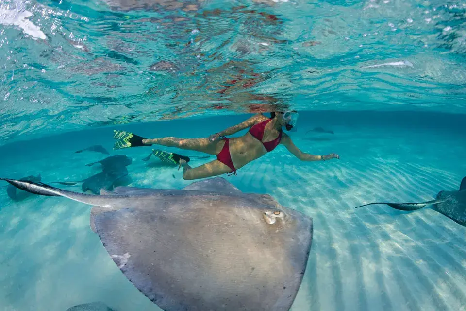 Imperdible: nadar con rayas