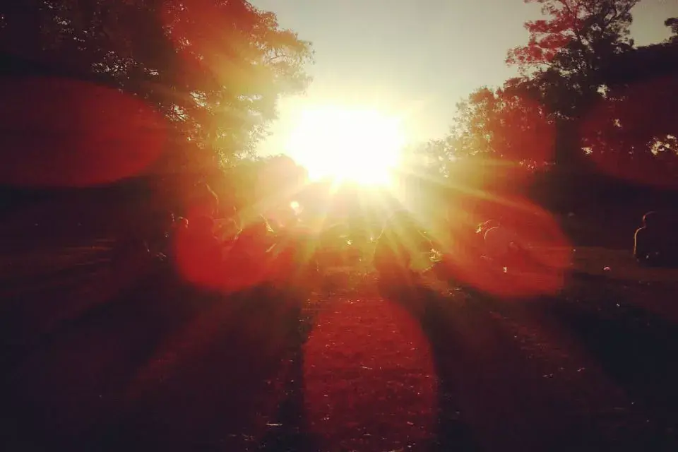 Pétalos de sol. En Plaza Sicilia, después de las clases de Yoga.