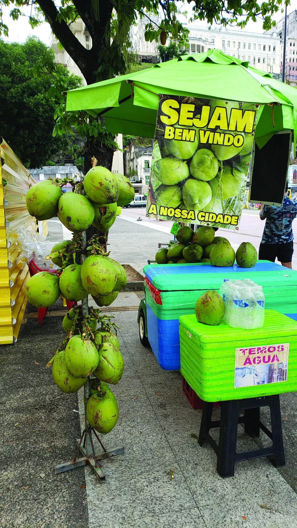 Un manjar callejero: el agua de coco a toda hora
