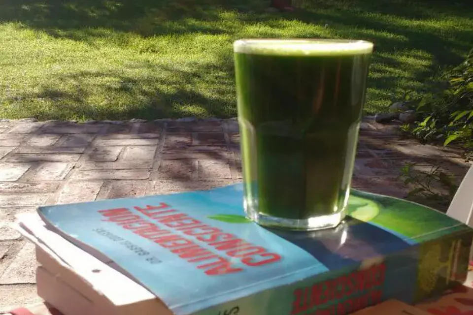 El Jugo verde como luz líquida.