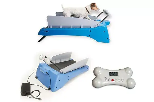¡Muy loco y algo polémico! Un invento para perros de departamento que más allá de sus salidas a la plaza necesiten descargar energías en casa. ¡Imposible no acordarse de la cinta caminadora del perro de los Supersónicos!