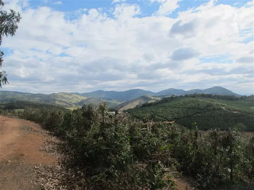 Carmo de Minas es la zona cafetera por excelencia en Brasil