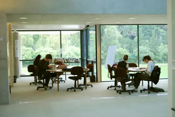 La luz y el verde entran por las ventanas, mientras los estudiantes se concentran en sus libros