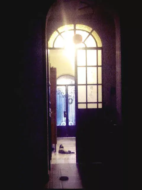 Armonía a la distancia.