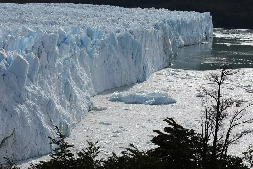 Vista del frente sur del glaciar