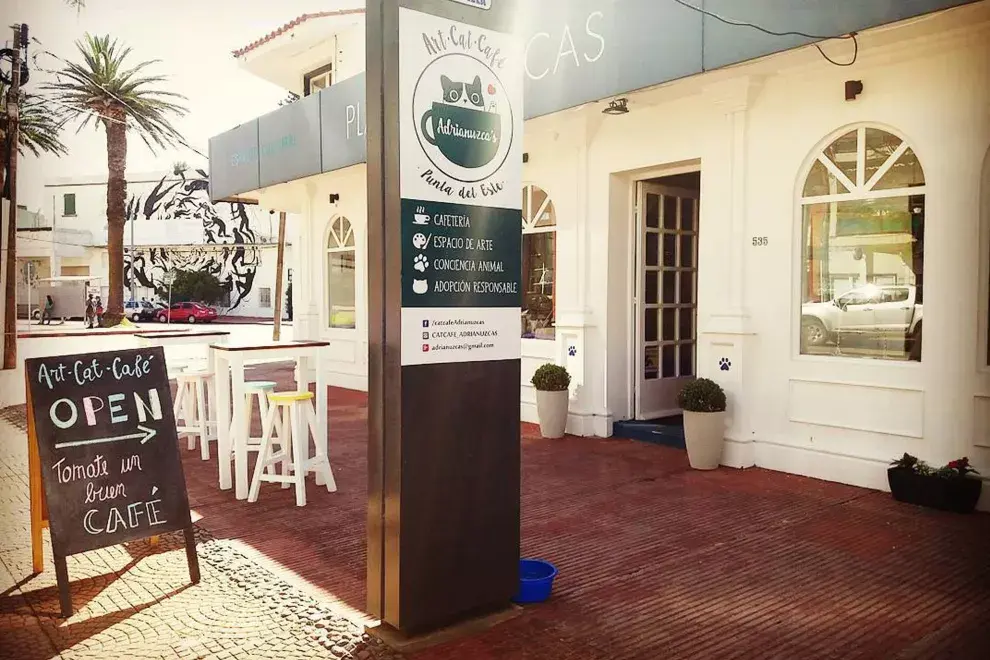 Sobre Gorlero 535 podés encontrar este simpático cafecito de gatos