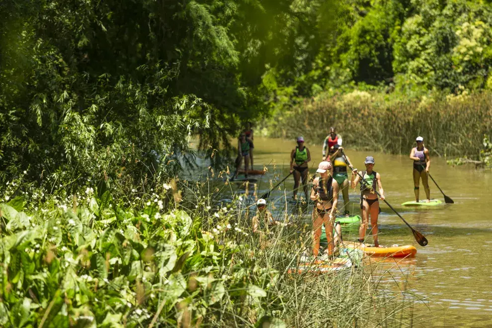 El Tigre es un lugar de relax muy cerca de la ciudad de Buenos Aires.