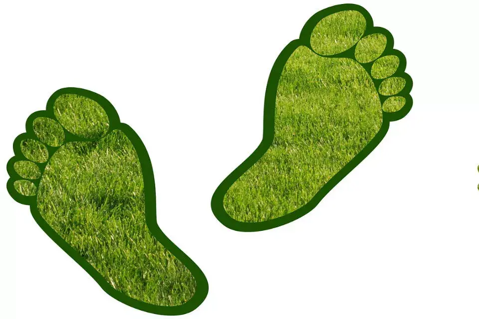 Objetivo: reducir nuestra huella de carbono. Foto: Pixabay