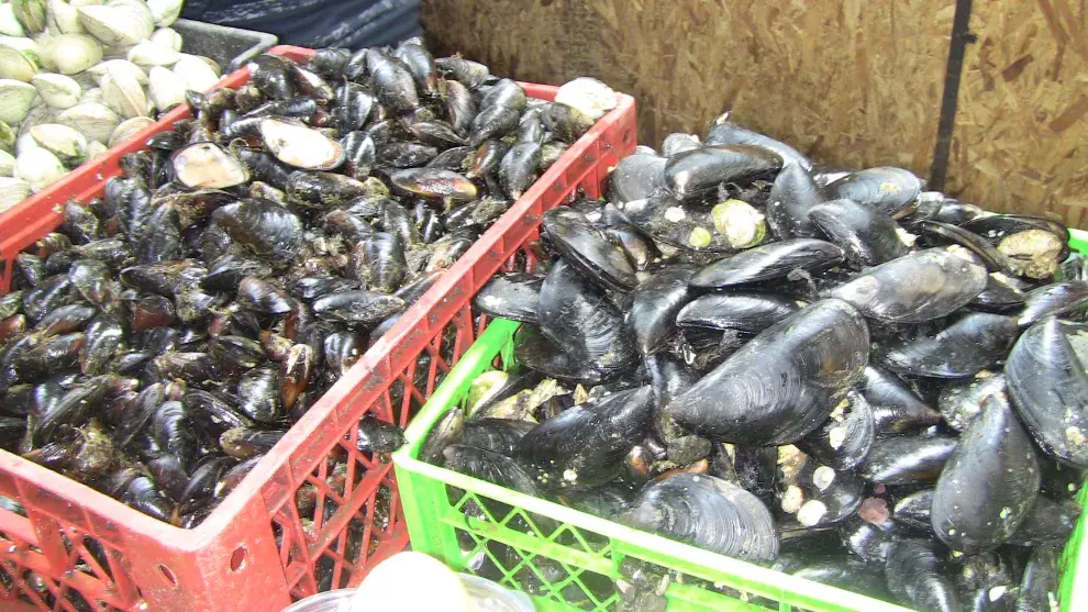 Los productos típicos de Chiloé, en la feria de Castro