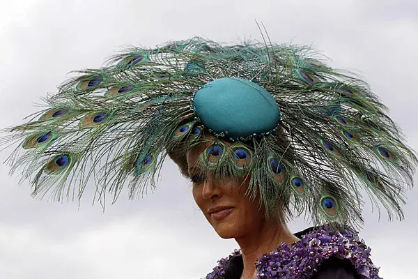 Plumas de pavo real en Ascot