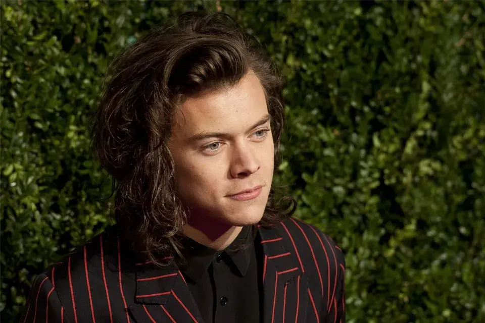 Una mención especial para el pelo de Harry Styles: ¿se hará brushing él también? No sabemos, pero lo cierto es que tiene toda la onda