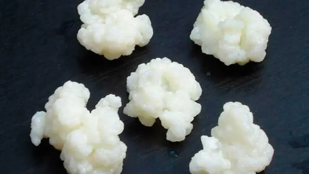 El Kéfir se parece mucho al coliflor ¿no?