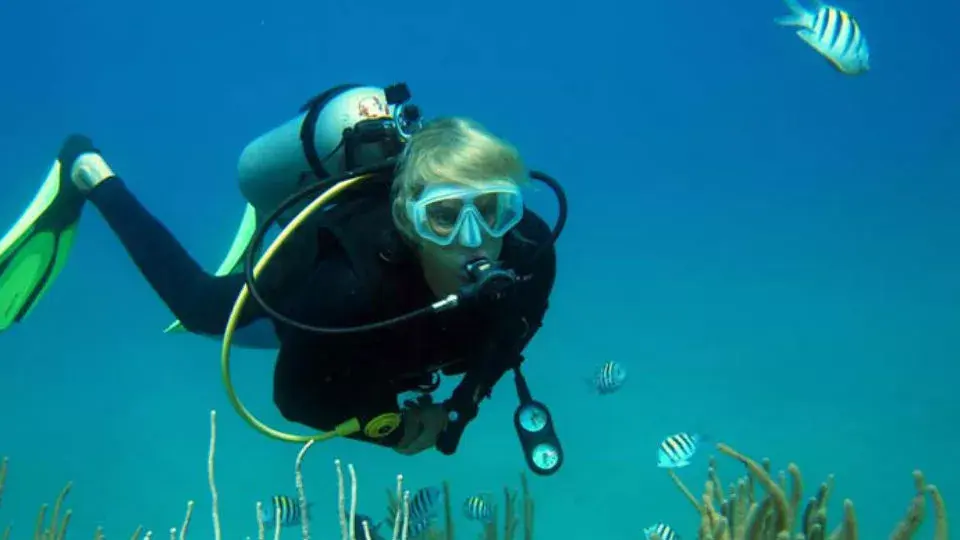 Cuando no realizan actividades de impacto social, los turistas pueden tomar clases de snorkel en Puerto Plata