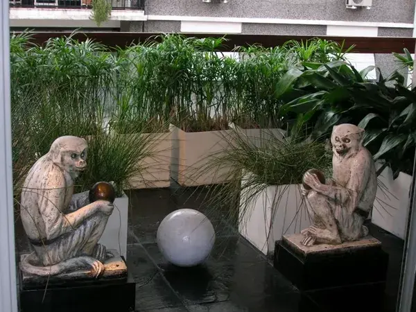 Las macetas y plantas iguales dan una sensación de continuidad