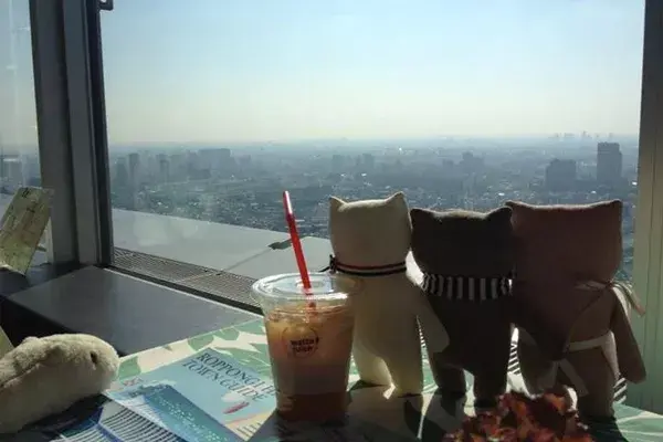 Disfrutando de la vista entre amigos