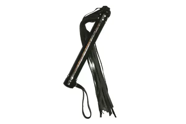 Látigo de cuero y cristales, $240