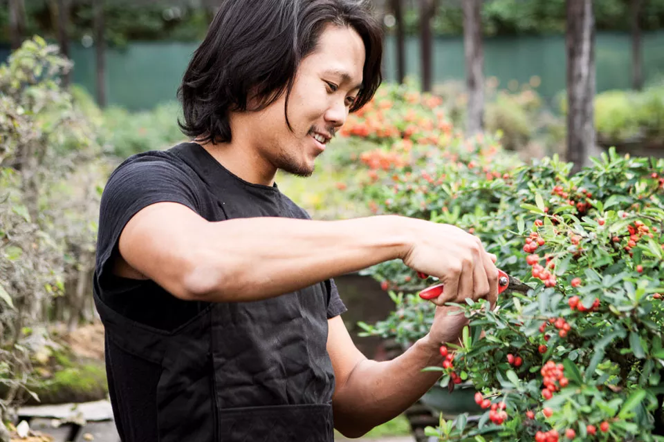 Además de vender plantas y herramientas de jardinería, en Wu alquilan bonsáis y tienen servicio de guardería y de mantenimiento.