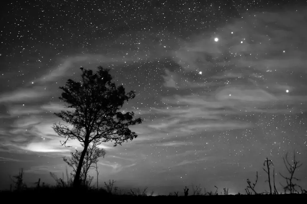 Llegó el otoño, ¿qué nos deparan las estrellas?