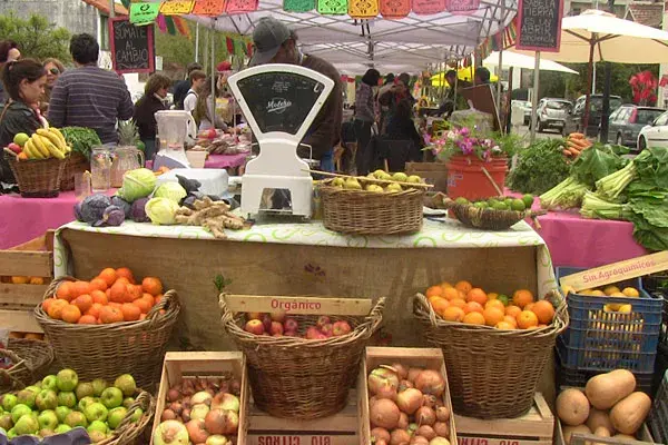 En Sabe la Tierra encontrás productos frescos