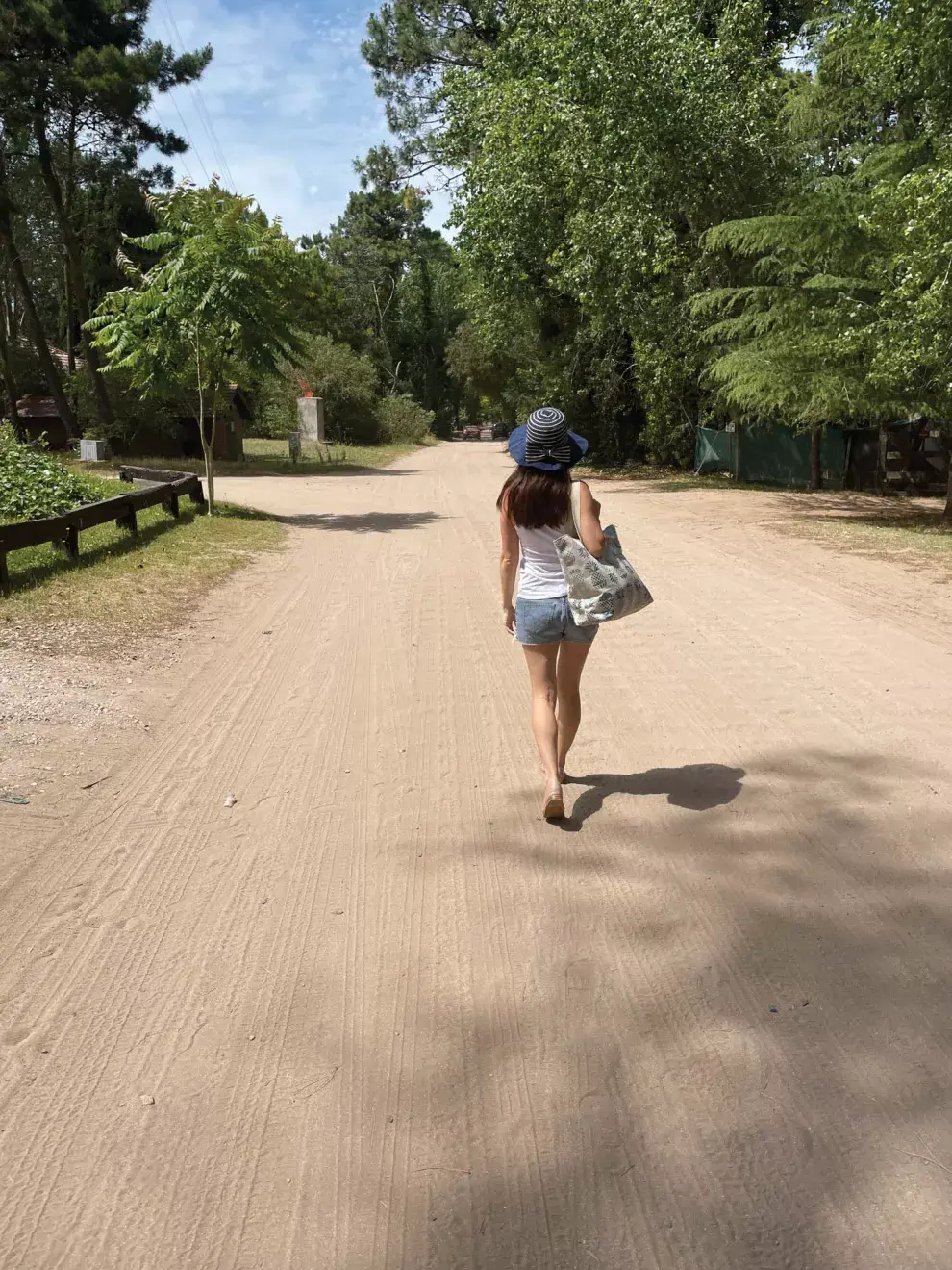 El bosque de Cariló te da la bienvenida a un fin de semana que se convierte en el shock de oxígeno necesario.