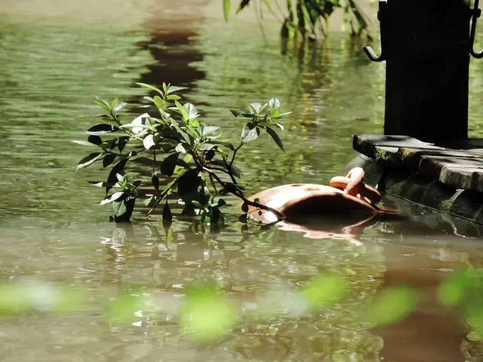 Río creció más de un metro